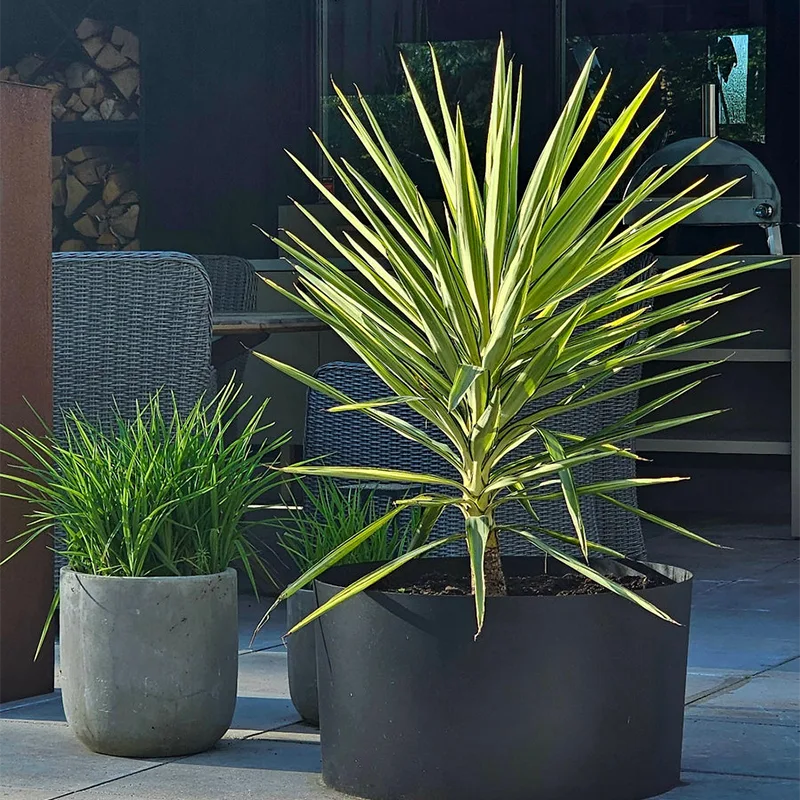 Galvanised Metal Round Outdoor Planter